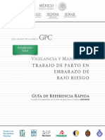 Guia Vigilancia y Manejo Del Trabajo de Parto Del Embarazo de Bajo Riesgo, 2014