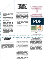 PDF Alimentacion