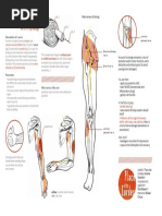 Single Column Tie Instructions | PDF | Home & Garden