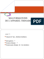 malformation-de-lappareil-urinaire-final.ppt EXTERNE (2)