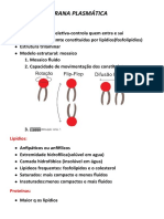 Membrana plasmática: estrutura e funções