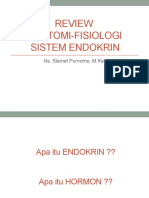 Review Anfis Endokrin-1