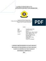 LAPORAN SOLARIMETER