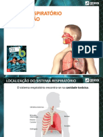 Sistema respiratório e ventilação pulmonar