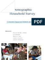 Demographic Household Survey