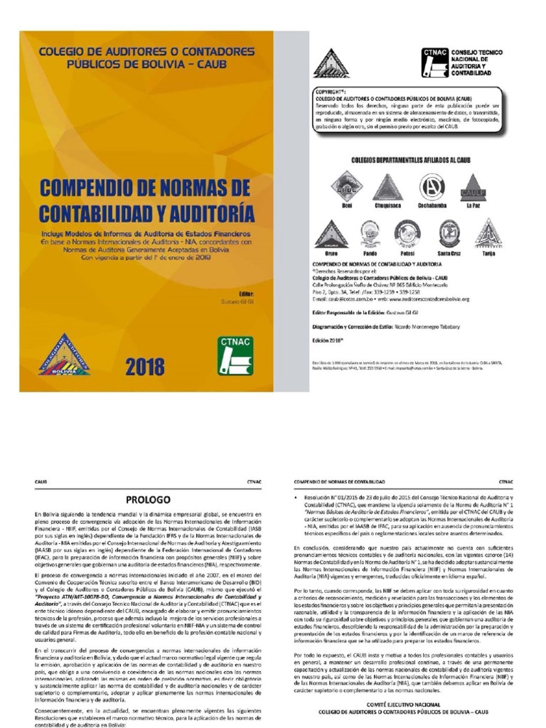 Compendio de Normas de Contabilidad y Auditoria | PDF