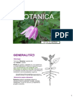 454648851 Curs Botanica I Integral PDF