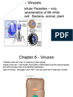 Chapter 6 - Viruses: Obligate Intracellular Parasites