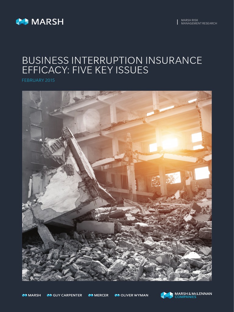 Business Interruption Insurance Efficacy | PDF | Insurance | Risk