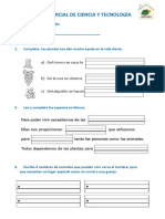 Examen de Ciencia y Tecnología