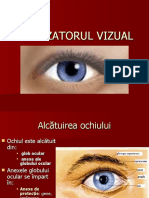 ANALIZATORUL VIZUAL