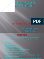 Consumer Behaviour Influence of Culture and Subculture