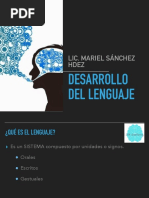 Desarrollo de Lenguaje