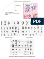 Basic Genetics: Normal Female Karyotype Normal Male Karyotype