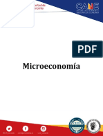 Microeconomía y equilibrio de mercado