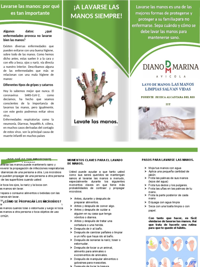 Triptico - Lavado de Manos. | PDF | Lavado de manos | Enfermedades y ...