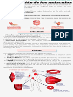 Clasificación M.