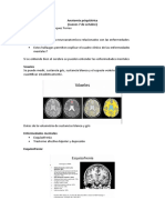 Anatomía Psiquiátrica