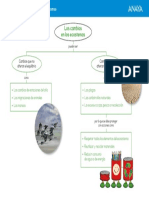 Esquema Los Cambios en Los Ecosistemas