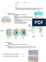 Unit 4 Homeostasis and Transport Review Packet