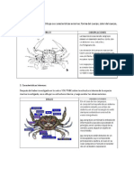 tarea de cyt