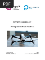 Rapport P36 Viscogliosi Ayoub