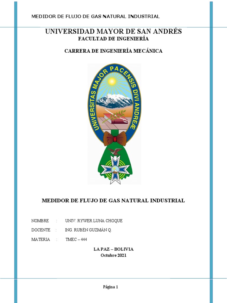 Medidor de Flujo de Gas Natural Industrial | PDF | Presión | Gases