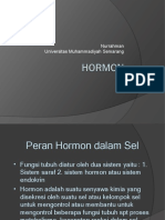 HORMON Matkul