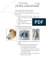 Tema 15 Al 25 (Nariz y Senos Paranasales)