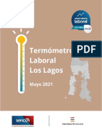 Termometro Mayo