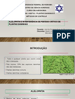 Grupo 4 - Alelopatia e Interferencia Do Periodo Critico de P.D. - Beatriz e Bilovenie