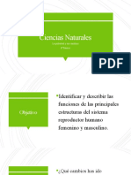 Ciencias Naturales La Pubertad y Cambios 6º