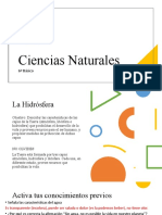 Ciencias Naturales 6º Clase 28 de Julio