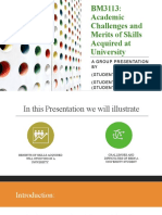 BM3113: Academic Challenges and Merits of Skills Acquired at University