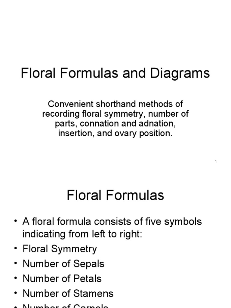 Floral Formulas and Diagrams PDF Flowers Petal