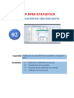 Codificación de encuestas en SPSS