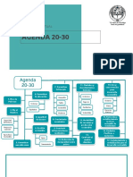 Agenda 20-30