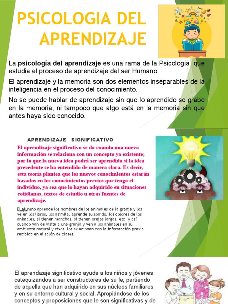 Psicologia Del Aprendizaje | PDF | Aprendizaje | Memoria