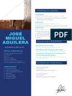 José Miguel Aguilera: Experiencia Laboral