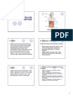 Anatomi Fisiologi Sistem Pencernaan: A. Definisi B. Pembagian Regio Abdomen