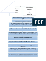 Pathophysiology of Chronic Kidney Disease: Predisposing Factors: Precipitating Factors