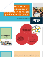 Organización y participación social en la prevención