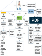 Mapa Conceptual Oido