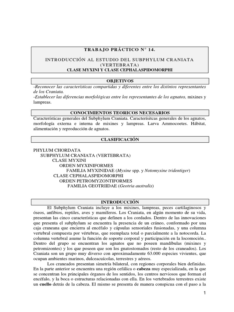 Astyanax Fasciatus Mexicanus Imagen de archivo - Imagen de acuario, cubo:  45572807, image size:768x1024