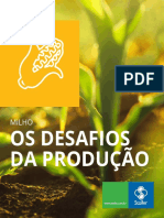 Desafios da produção de milho no Brasil