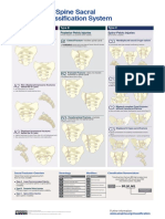 AOS Injury Classification Systems Poster SACRAL