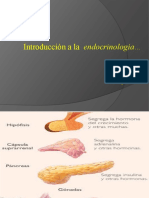 Intro A La Endocrinologia