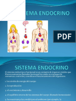 Sistema Endocrino, Dra. Soriano