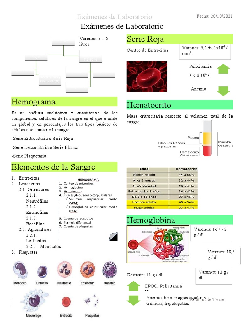 Examenes de Laboratorio | PDF | Sangre | Anemia
