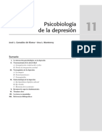 Psicobiología de La Depresión (Belloch)